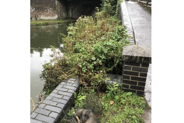 Otter killed in illegally set canal trap in the Grand Union Canal (C) RSPCA
