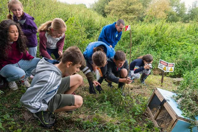 Wildlife rangers helping with the water vole release