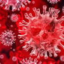 Hertfordshire records 85 new cases of coronavirus and Dacorum has 14