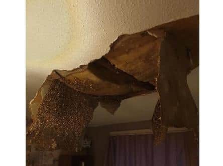 Angeline found part of the ceiling had collapsed at the weekend