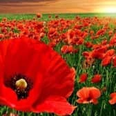 Council encourages residents to take part in virtual Remembrance event