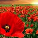 Council encourages residents to take part in virtual Remembrance event