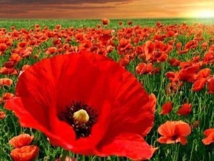 Council encourages residents to take part in virtual Remembrance event
