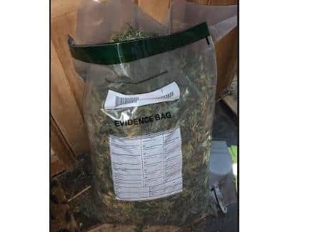 Over 70 cannabis plants seized and two men arrested during Dacorum police raids