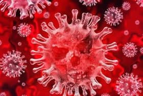 Coronavirus stock image