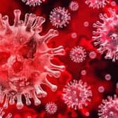 Coronavirus stock image