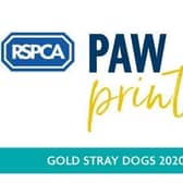 Dacorum Borough Council gets gold in RSPCA award