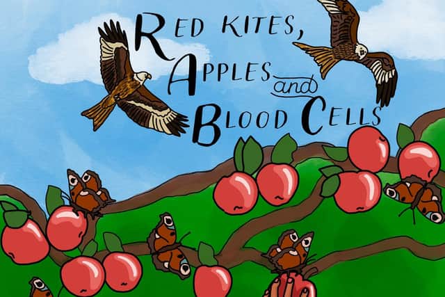 Red Kites, Apples and Blood Cells