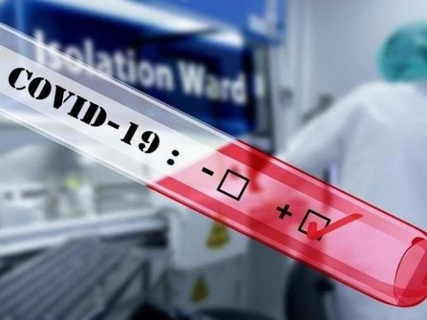 Coronavirus latest: Dacorum records 191 new cases today - Vimarsana News