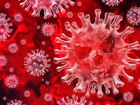 Coronavirus stock image