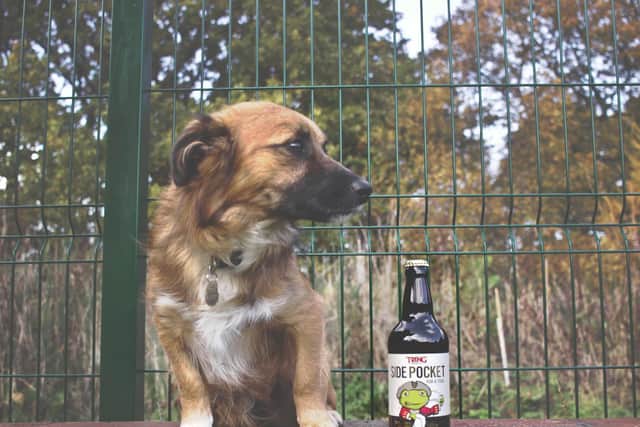 Tring Brewery and Chilterns Dog Rescue Society have teamed up for 2021