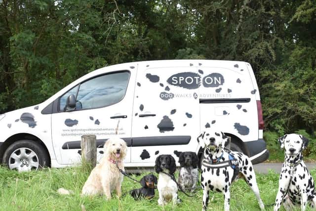 Amy started Spot On Dog Walks and Adventures because she wanted to provide a service that she would whole heartedly use