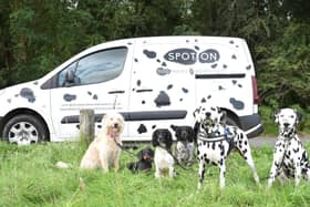 Amy started Spot On Dog Walks and Adventures because she wanted to provide a service that she would whole heartedly use