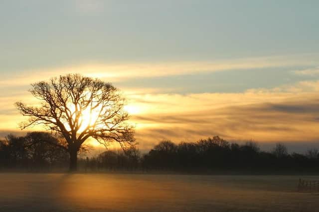 Bunkers Park received a Green Flag last year (C) Dacorum Borough Council