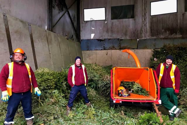 The crew on Christmas tree recycling day