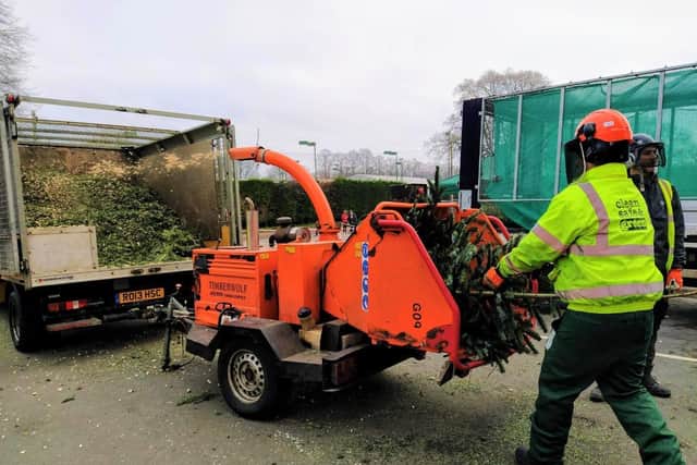Christmas tree recycling