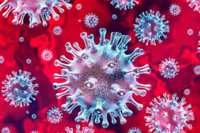 Coronavirus stock image (C) Shutterstock