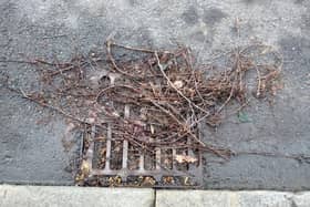 Blocked drains in Berkhamsted