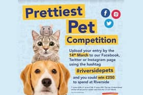 Prettiest Pet competition