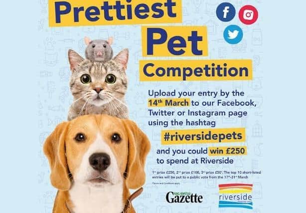 Prettiest Pet competition