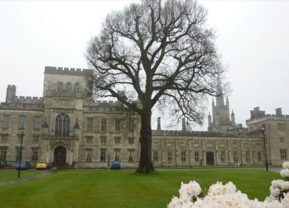 Ashridge Estate is a 2,000 hectare area of the Chilterns Hills. The estate is part of the National Trust. The best way to explore it is on foot or by bike