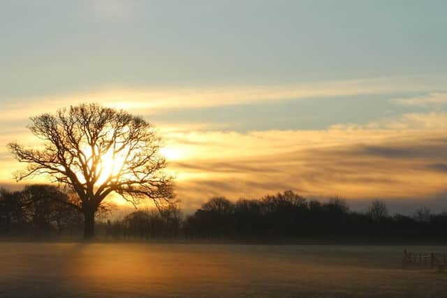 Bunkers Park was awarded a Green Flag in October. The Green Flag recognises and rewards well-managed parks and green spaces (C) Dacorum Borough Council