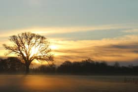 Bunkers Park was awarded a Green Flag in October. The Green Flag recognises and rewards well-managed parks and green spaces (C) Dacorum Borough Council