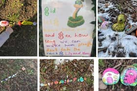 'Sid the Snake' will have a permanent home in Hemel Hempstead
