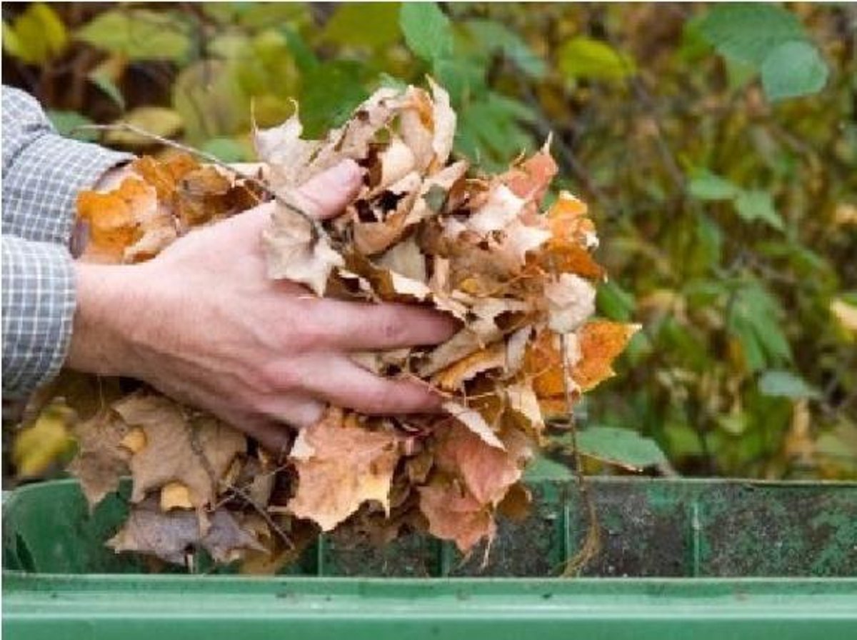 Garden waste collections restart in Dacorum Hemel Today