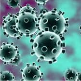 Coronavirus stock image