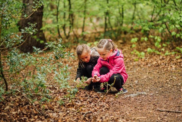 Children in forest