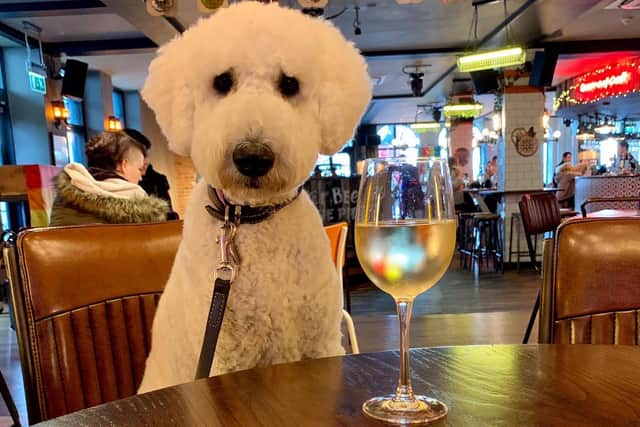 Nora having a well earned drink