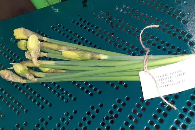 Daffodils left at Berkhamsted Station