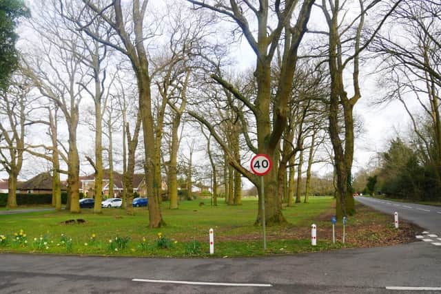 The newly-registered common at Berkhamsted