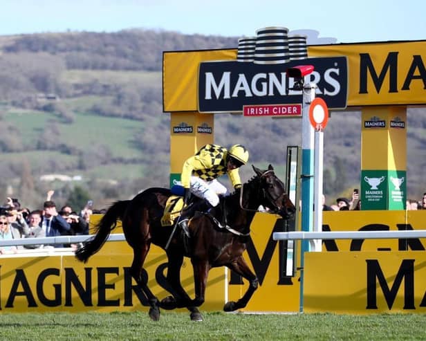 Al Boum Photo and Paul Townend pass the finish line to retain the Magners Gold Cup