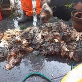 A large mass of rag pulled from a sewer in Wimbledon last month (there is no indication this specific blockage had any link to COVID-19). Photo from Thames Water