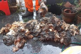 A large mass of rag pulled from a sewer in Wimbledon last month (there is no indication this specific blockage had any link to COVID-19). Photo from Thames Water