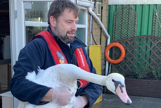 RSPCA is still rescuing and rehoming animals in Hertfordshire