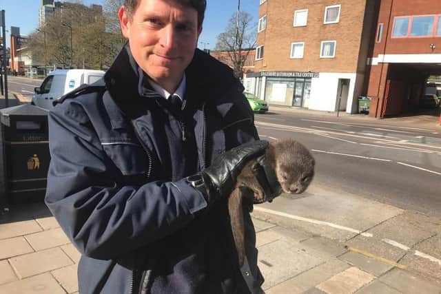 RSPCA Insp Jaime Godfrey with baby otter