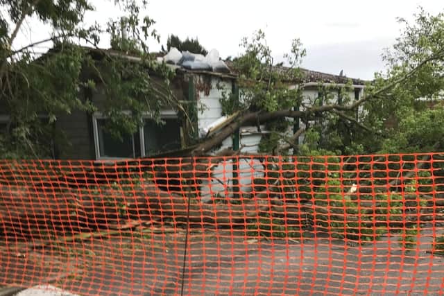 The tree fell on Leverstock Tennis Club's clubhouse on Sunday