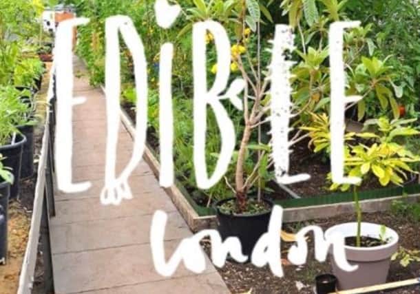 Edible London is a creative urban community farm that tackles mental health and social isolation and brings communities together