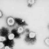 Coronavirus stock image