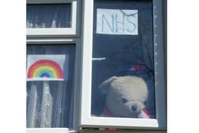 Barbara created Mr Ted A Bear to spread a little happiness toherwork colleagues in the NHS and her neighbours during the pandemic