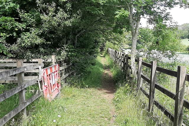 Berkhamsted Town councillor calls for safer crossings over A41 by-pass