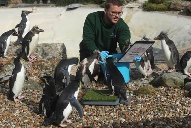 George, a bird keeper at Whipsnade Zoo, will be running a marathon to raise money for ZSL (C) ZSL