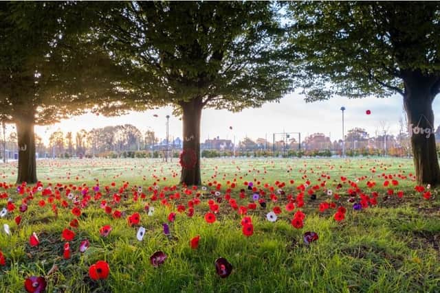 The poppy field at Kings Langley School