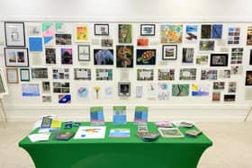 Dacorum Borough Council holds climate art exhibition