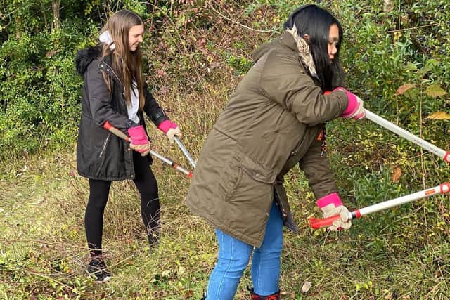 Students from Hemel Hempstead spent a day volunteering atChairborough Nature Reserve