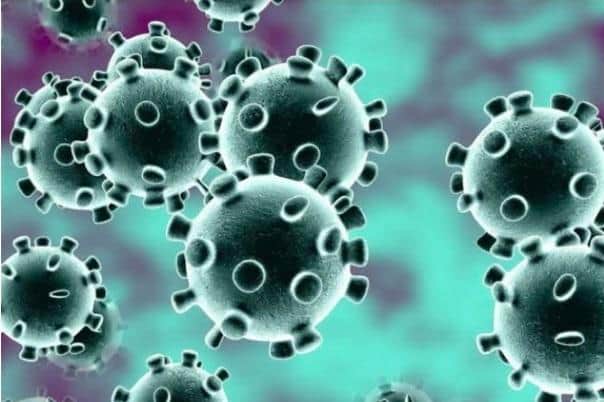 Coronavirus stock image