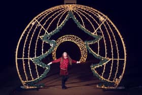 Enjoy a magical winter light trail until January 9